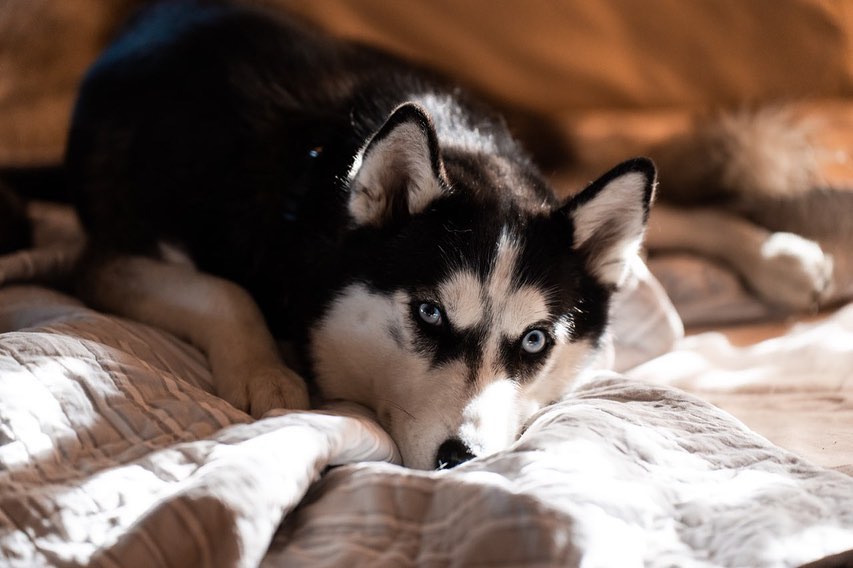 Marc Benioff is distracted and has lost sight of the two most important things he needs to watch as a CEO: his customers and his employees.